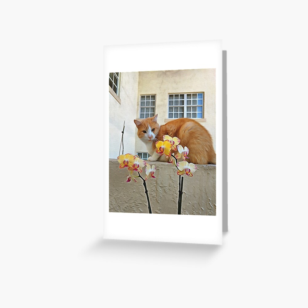 Cat Behind the Flowers Greeting Card