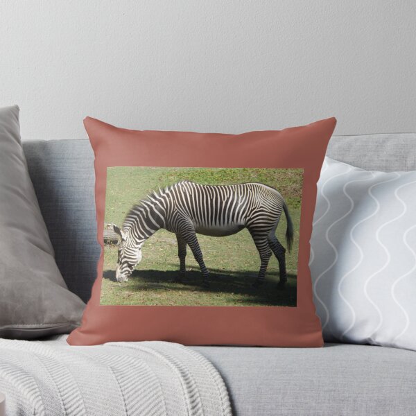 Artikelvorschau, Zebra, Bronx Zoo, Bronx, New York City entworfen und verkauft von FashionHeree.