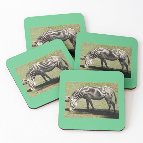 Artikelvorschau, Zebra, Bronx Zoo, Bronx, New York City entworfen und verkauft von FashionHeree.