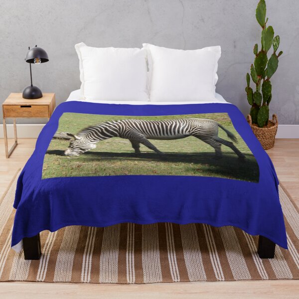 Item preview, Zebra, Bronx Zoo, Bronx, New York City designed and sold by FashionHeree.