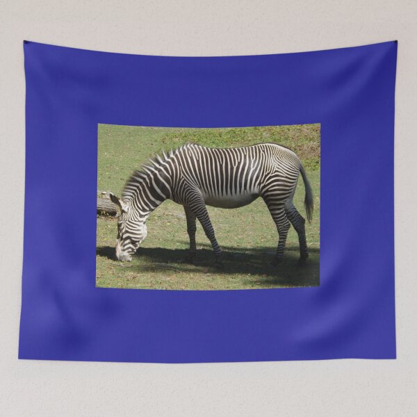 Item preview, Zebra, Bronx Zoo, Bronx, New York City   designed and sold by FashionHeree.