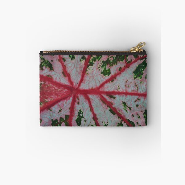 Item preview, Calaium Bicolor designed and sold by Pandrot.