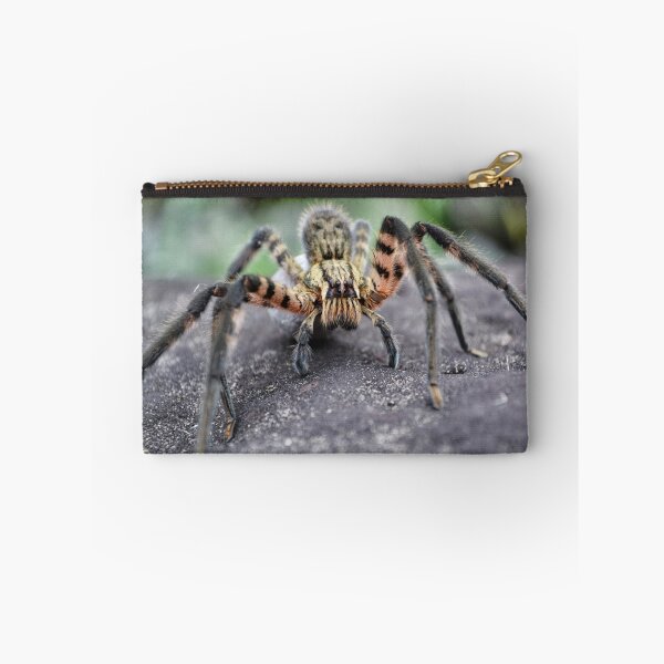 Item preview, Lycosidae (Wolf Spider) designed and sold by Pandrot.
