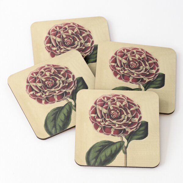 Artikelvorschau, Vintage Camellia Archidushesse Augusta Gartenbau Rezension (1850) entworfen und verkauft von ptMaker.