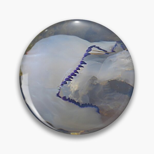 Item preview, Jelly fish. designed and sold by Paul Pasco.
