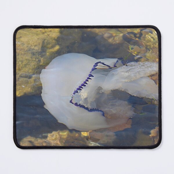Item preview, Jelly fish. designed and sold by Paul Pasco.