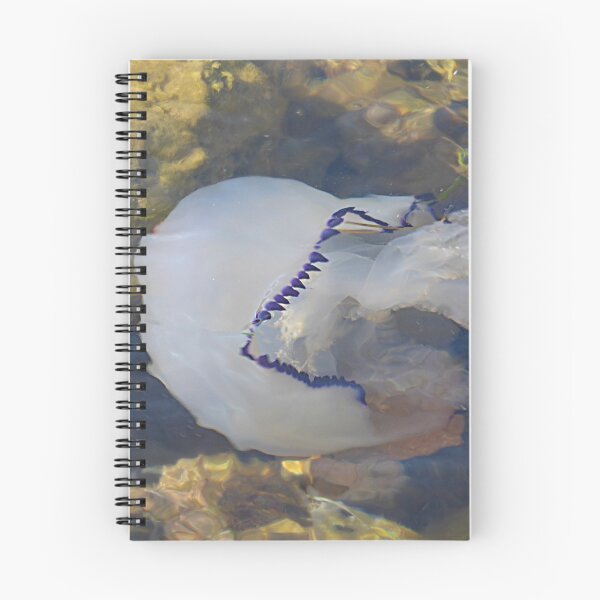 Item preview, Jelly fish. designed and sold by Paul Pasco.