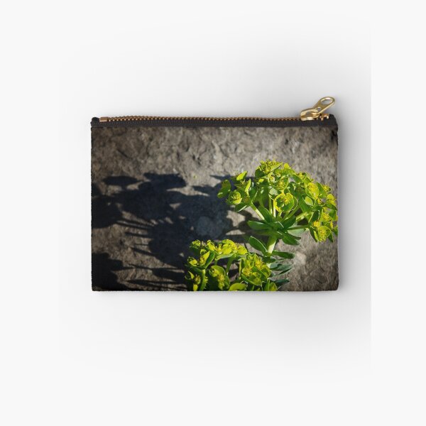 Item preview, Euphorbia On The Rocks designed and sold by Pete5.