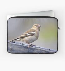 Sparrow on fence Laptop Sleeve