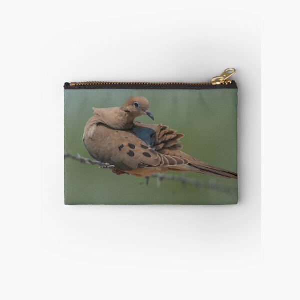 Item preview, Mourning Dove Preening Rump on Barb Wire, Austin Texas designed and sold by Steven Holt.