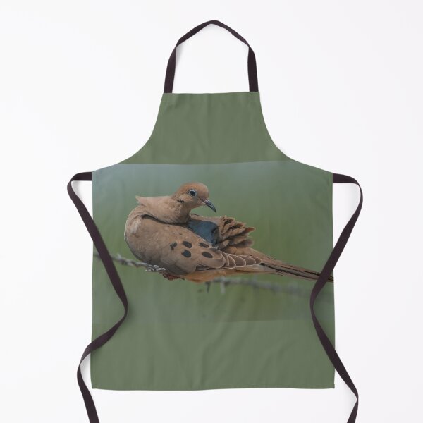 Item preview, Mourning Dove Preening Rump on Barb Wire, Austin Texas designed and sold by Steven Holt.