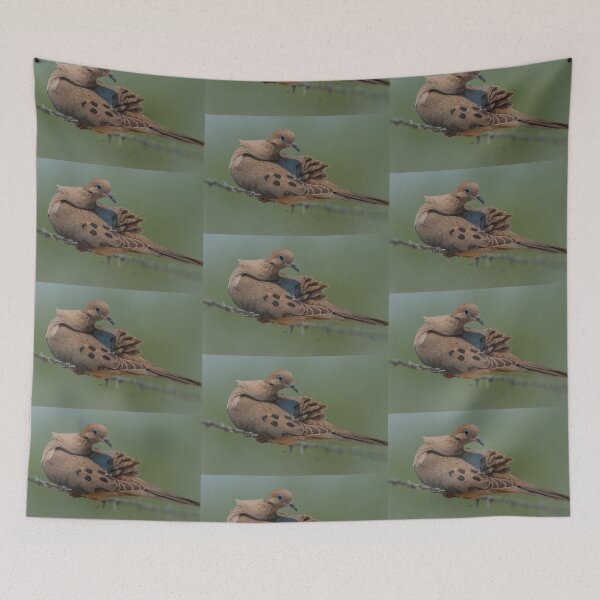 Item preview, Mourning Dove Preening Rump on Barb Wire, Austin Texas designed and sold by Steven Holt.