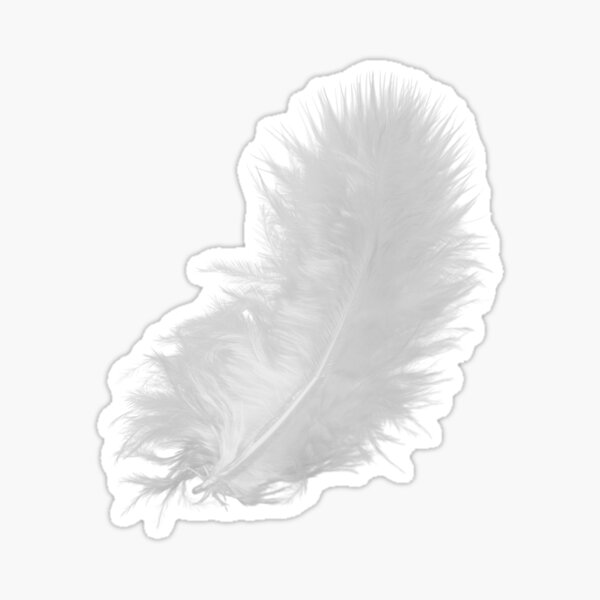 Item preview, Single, white, down feather. Light, fluffy, fragile. Photograph designed and sold by JellyBeenzz.