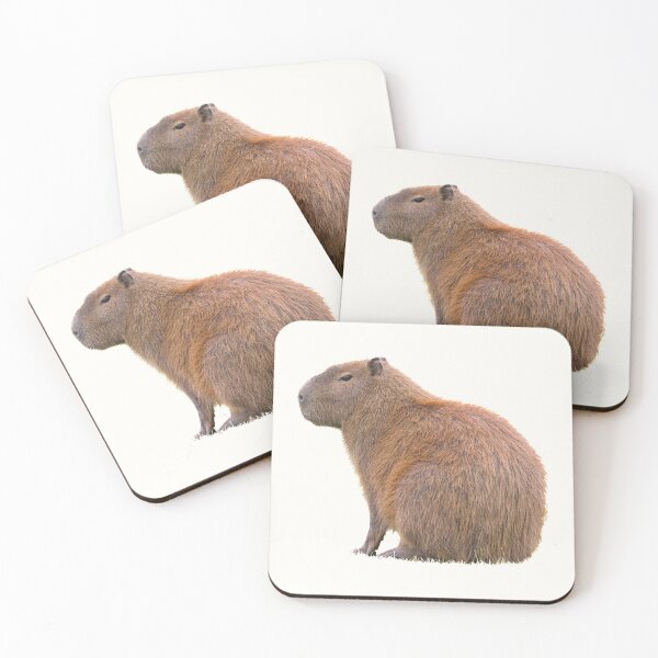 Aperçu de l'œuvre 3ème paquet d'autocollants Capybara suspects. Capybaras drôles pour chaque amoureux de Capybara ou autre propriétaire de rongeur ! - Mignonne créée et vendue par AnimalStickers-.