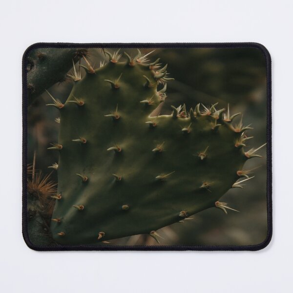 Item preview, Heart Shaped Cactus designed and sold by JLPhotographer.