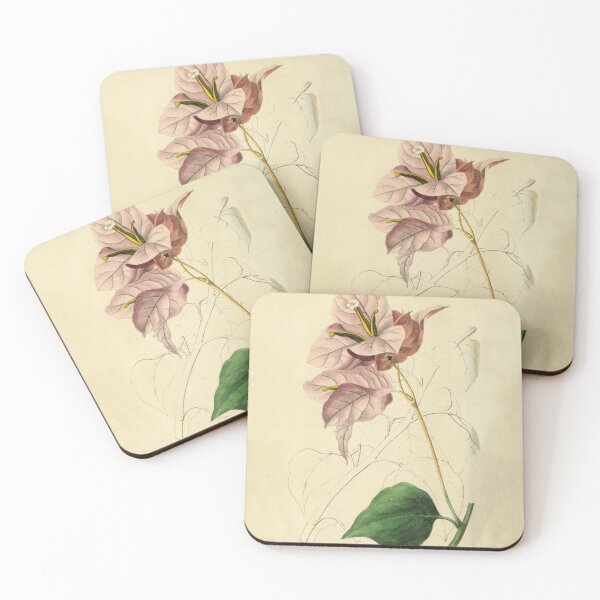 Item preview, Vintage Bougainvillea Horticultural review (1850) designed and sold by ptMaker.