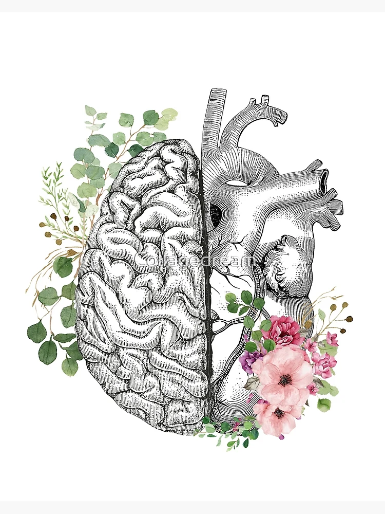 Right balance between brain and heart, pink roses and leaves, watercolor |  Art Board Print