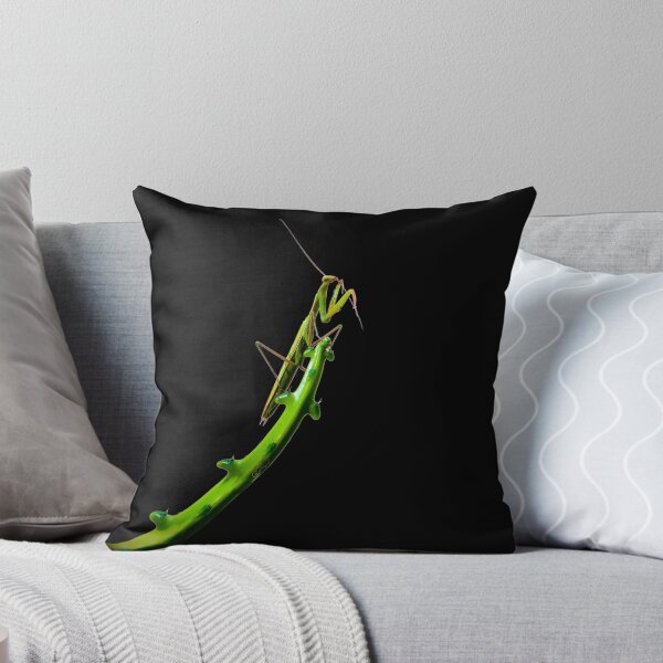 Item preview, mantis designed and sold by jo-twinflame.