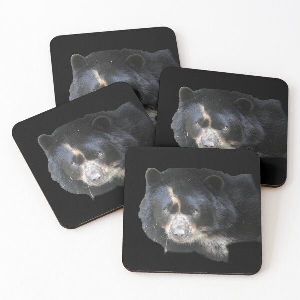 Item preview, Andean Bear designed and sold by andrew82984.