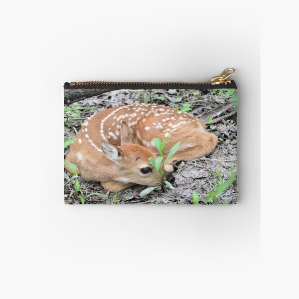 Item preview, New Born Fawn designed and sold by LynyrdSky.