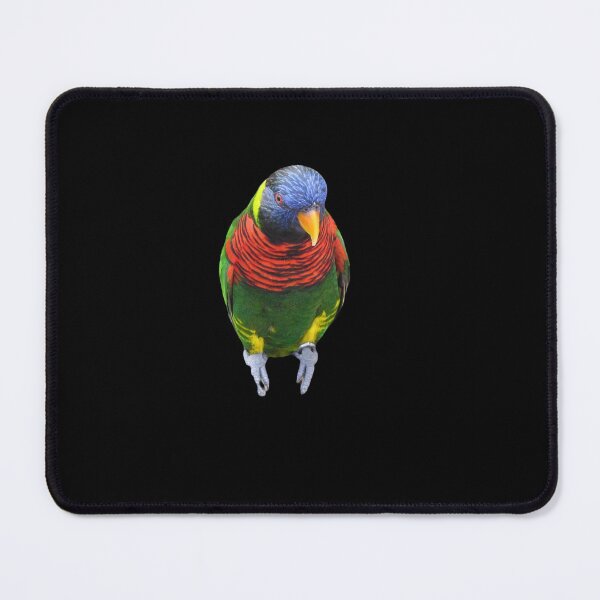 Item preview, Lorikeet designed and sold by andrew82984.