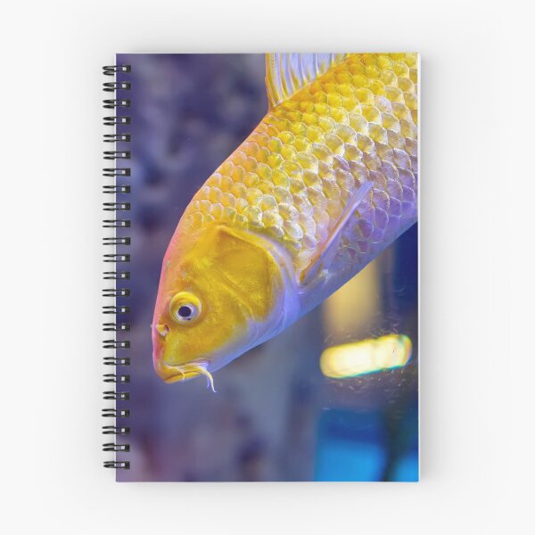 Item preview, Golden yellow Ogon Koi carp fish designed and sold by lena-maximova.