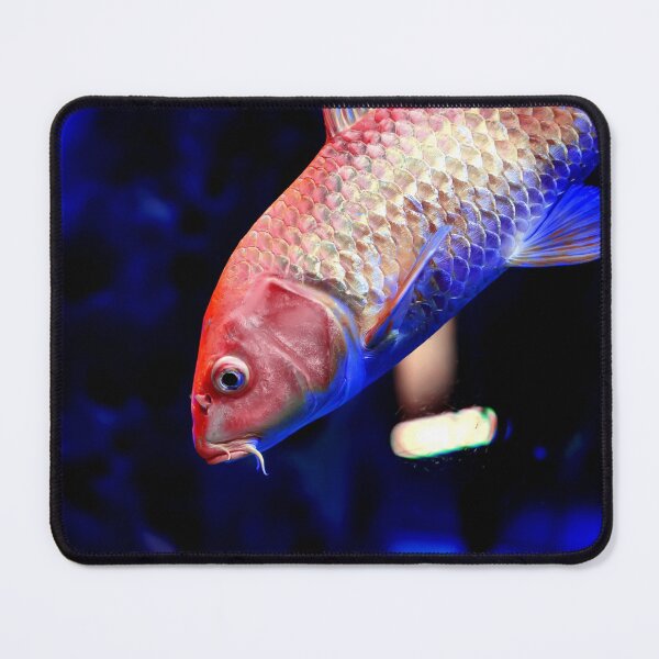 Item preview, Golden yellow Ogon Koi carp fish designed and sold by lena-maximova.