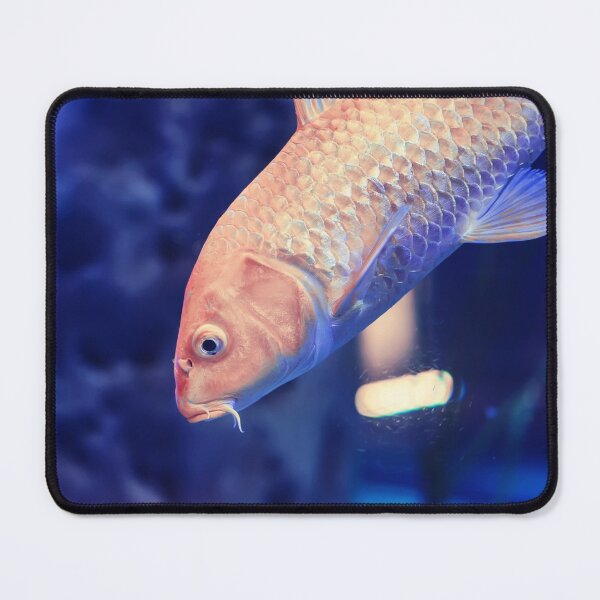 Item preview, Golden yellow Ogon Koi carp fish designed and sold by lena-maximova.