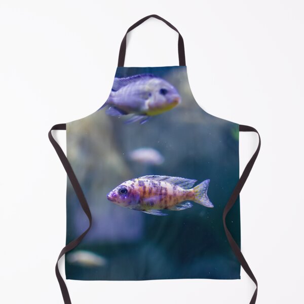 Item preview, Aulonocara species ‘OB Peacock’ cichlids designed and sold by lena-maximova.