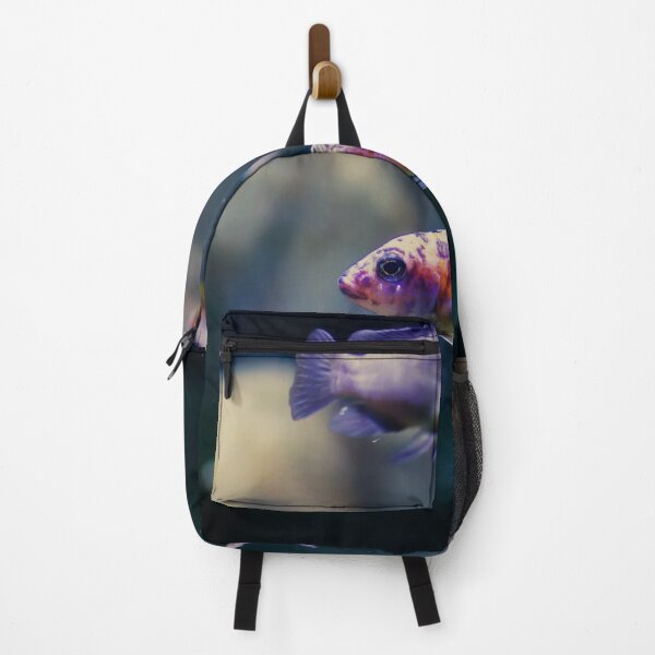 Item preview, Aulonocara species ‘OB Peacock’ cichlids designed and sold by lena-maximova.