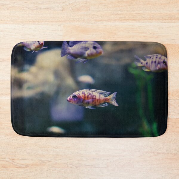 Item preview, Aulonocara species ‘OB Peacock’ cichlids designed and sold by lena-maximova.