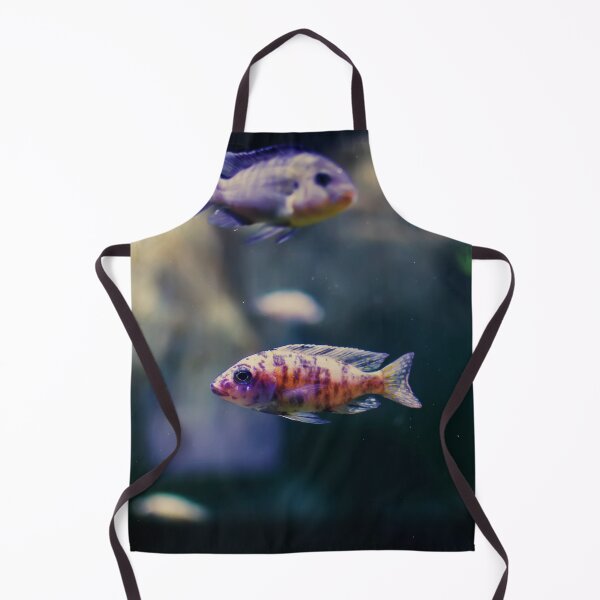 Item preview, Aulonocara species ‘OB Peacock’ cichlids designed and sold by lena-maximova.