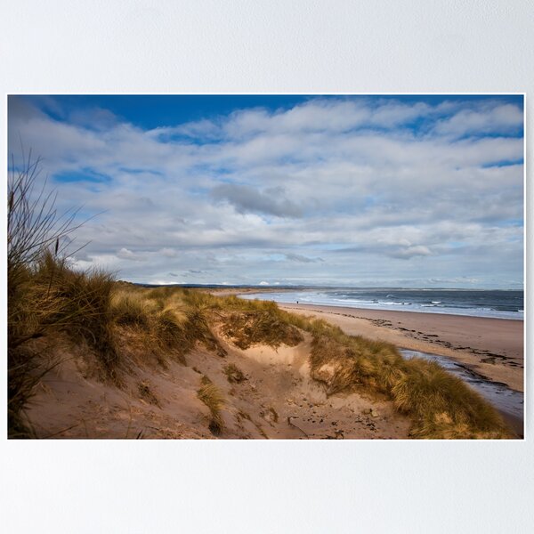 Item preview, Frühling in der Druridge Bay designed and sold by Violaman.