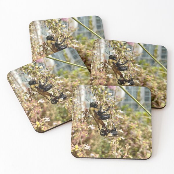 Item preview, Beeautiful designed and sold by BOBBYBABE.