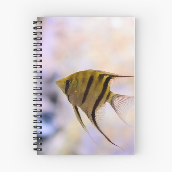 Item preview, Orinoco angelfish in fish tank designed and sold by lena-maximova.