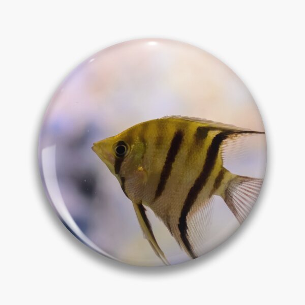 Item preview, Orinoco angelfish in fish tank designed and sold by lena-maximova.