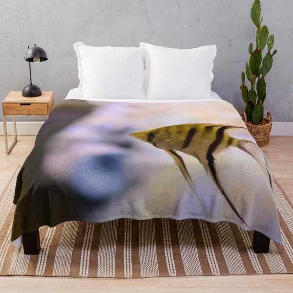 Item preview, Orinoco angelfish in fish tank designed and sold by lena-maximova.