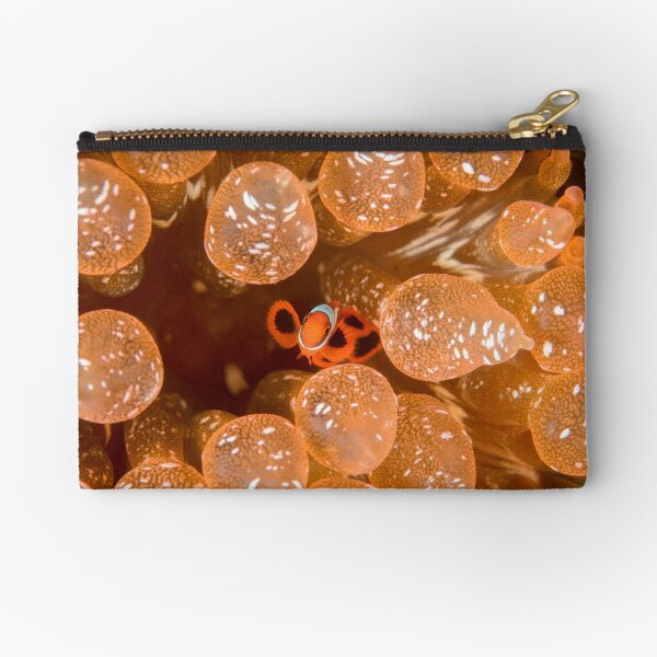 Tiny Spinecheek Anemonefish - Premnas biaculeatus Zipper Pouch