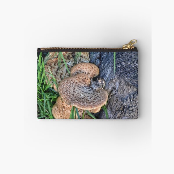 Artikelvorschau, Fungi-Dryad’s Saddle entworfen und verkauft von lynn carter.