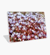Magic Touch Laptop Skin