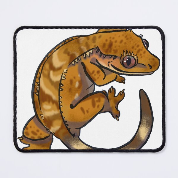 Item preview, Crested Gecko Patternless • Digital Cartoon designed and sold by Kayla Glaser.