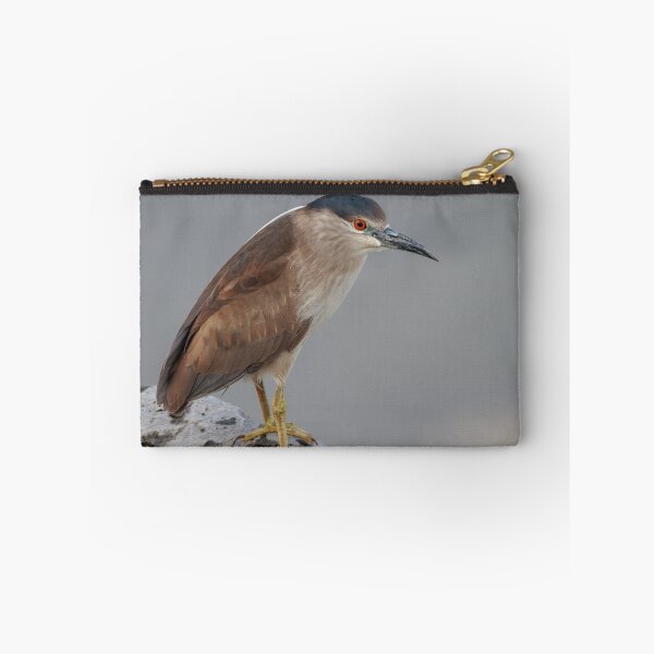 Item preview, Black-crowned Night Heron (Nycticorax nycticorax): Peek-a-boo designed and sold by johnrw21.