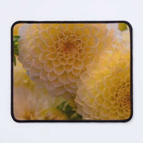 Item preview, USA. Seattle. Pike Place Market. Yellow Mum's Flowers.  designed and sold by vadim19.