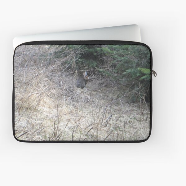 Snowshoe rabbit Laptop Sleeve