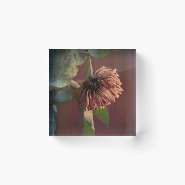Item preview, Petals III designed and sold by RJDowns.