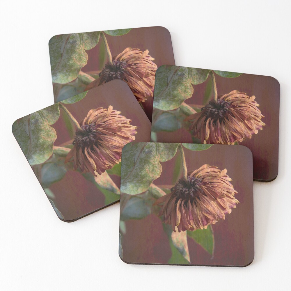 Item preview, Coasters (Set of 4) designed and sold by RJDowns.