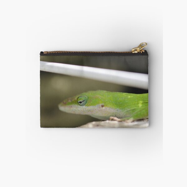 Artikelvorschau, Scaled back Anole entworfen und verkauft von Okeesworld.
