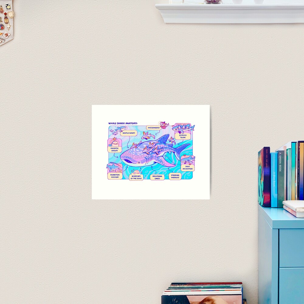 Whale Shark Anatomy Art Print