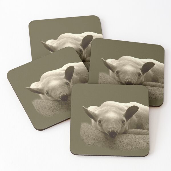 Item preview, Tamandua  designed and sold by andrew82984.