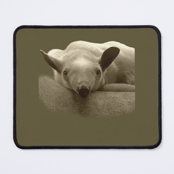 Item preview, Tamandua designed and sold by andrew82984.